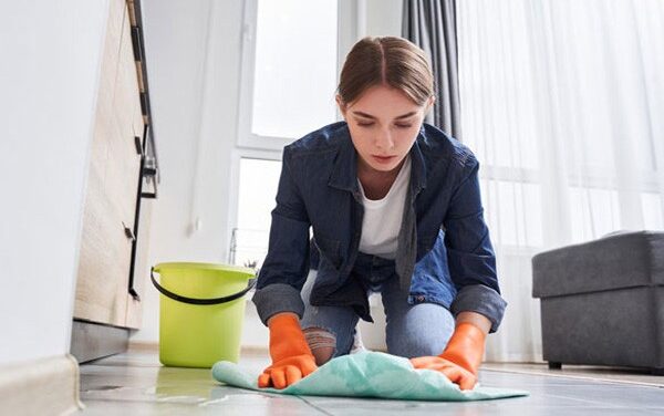What is Mold Remediation on a House